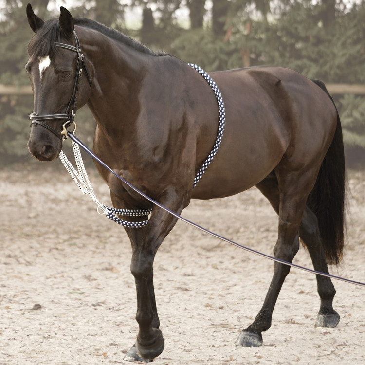 Enrênement Soft Rope Canter Enrênement Soft Rope Canter