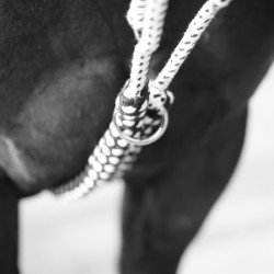 Enrênement Soft Rope Canter Marine / blanc Bleu