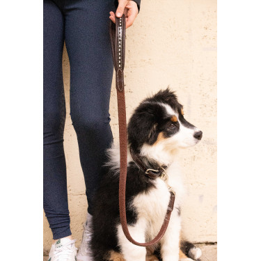 Laat hond Penelope Rubber Havana Bruin