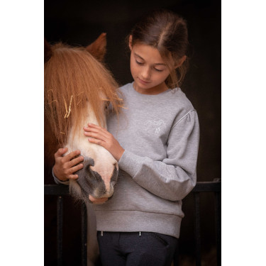 Sweater Pénélope Cassou Gemêleerd grijs