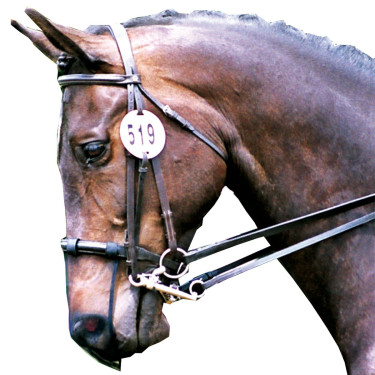 Protection de nez anti-encensement Equilibrium Protection de nez anti-encensement Equilibrium