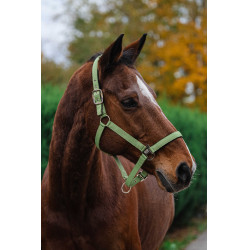 Licol Nylon Spring Equithème Vert clair