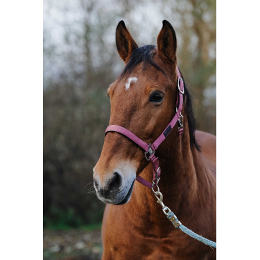 Licol Nylon Spring Equithème Rose