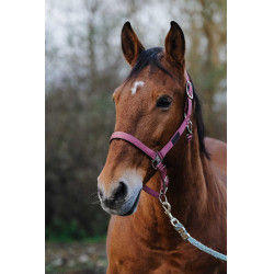 Nylon Halster Spring Equithème Roze
