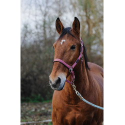 Nylon Halster Spring Equithème Roze