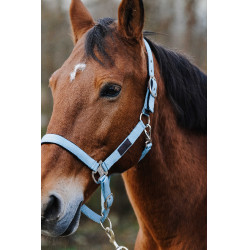 Nylon Halster Spring Equithème Turkoois Blauw