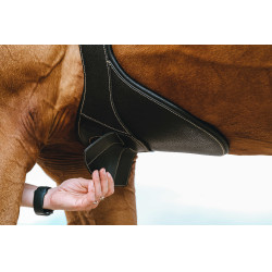 Magnetische singel Norton Zwart