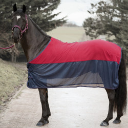 Set halster, leadrope en zweetdeken Canter