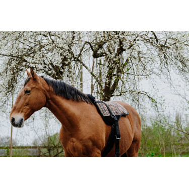 Tapis de monte à cru Norton Kiowa