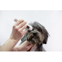 Draadloze Aesculap Exacta...