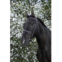 Bridon Riding World Muserolle française Havane Marron