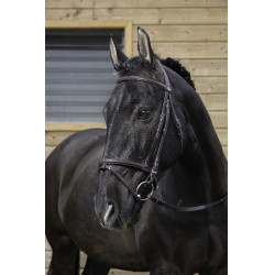 Bridon Riding World gecombineerde neusriem Havana Bruin