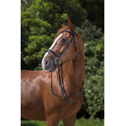 Bridon Riding World gecombineerde neusriem Zwart