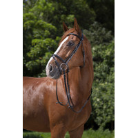 Bridon Riding World Muserolle combinée Havane Marron