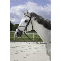 Bridon Riding World Kruisneusriem Zwart