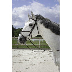 Bridon Riding World Muserolle croisée Havane Marron Bridon Riding World Muserolle croisée Havane Marron