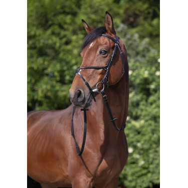 Bridon Riding World Kruisneusriem Zwart