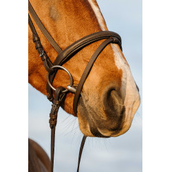 Bridon Riding World gecombineerde gecombineerde neusriem Havana Bruin