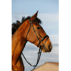 Bridon Riding World muserolle combinée double Noir Bridon Riding World muserolle combinée double Noir