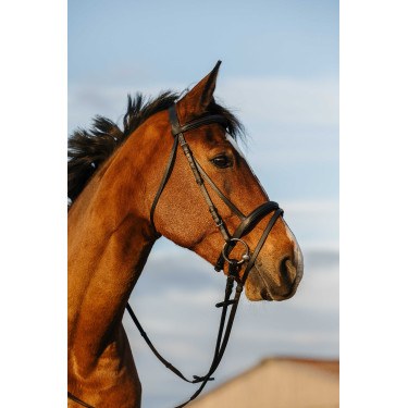 Bridon Riding World muserolle combinée double Noir Bridon Riding World muserolle combinée double Noir