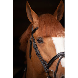 Birdon Oxford Prestatie Pénélope Zwart Birdon Oxford Prestatie Pénélope Zwart