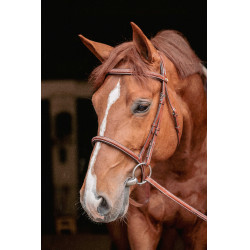 Bridon Hunter US Pénélope Hazelnoot / havana Bridon Hunter US Pénélope Hazelnoot / havana