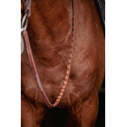 Bridon Hunter US Pénélope Hazelnoot / havana Bridon Hunter US Pénélope Hazelnoot / havana