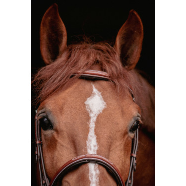 Bridon Hunter US Pénélope Hazelnoot / havana Bridon Hunter US Pénélope Hazelnoot / havana