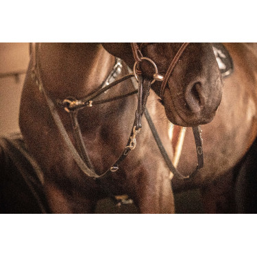 Rênes Pénélope Howlett cuir Noir