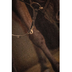 Rênes Pénélope Howlett cuir Noir