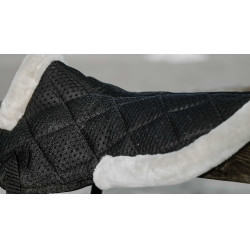 Amortisseur Equithème Pro air Noir