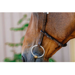 Bridon Freedom Norton Havane Marron Bridon Freedom Norton Havane Marron