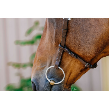 Bridon Freedom Norton Havane Marron Bridon Freedom Norton Havane Marron