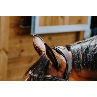 Bridon Freedom Norton Havane Marron Bridon Freedom Norton Havane Marron