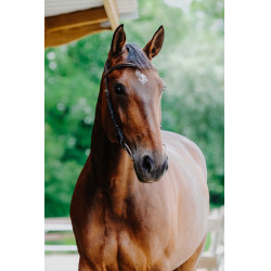 Bridon Freedom Norton Havane Marron Bridon Freedom Norton Havane Marron