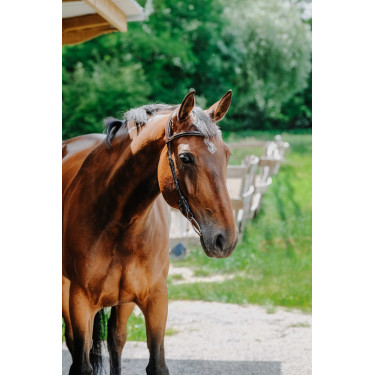 Bridon Freedom Norton Havane Marron Bridon Freedom Norton Havane Marron