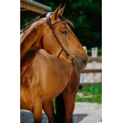 Bridon Freedom Norton Havane Marron Bridon Freedom Norton Havane Marron