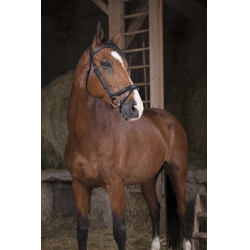 Bridon Norton Pro Fin Zwart