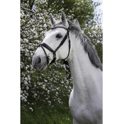 Bridon Norton Pro Strass Noir