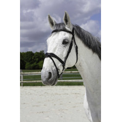 Bridon Norton Pro Golvend Zwart Bridon Norton Pro Golvend Zwart