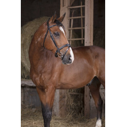 Bridon Norton Pro Golvend Zwart Bridon Norton Pro Golvend Zwart