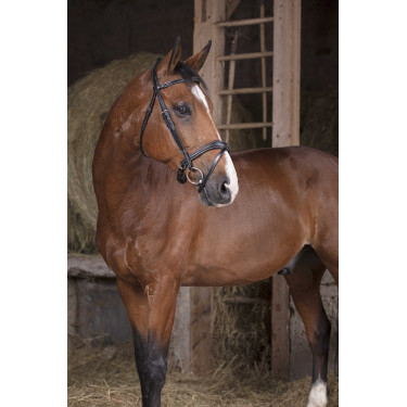 Bridon Norton Pro Golvend Zwart Bridon Norton Pro Golvend Zwart