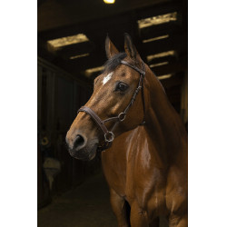 Side-pull Norton Pro Confort Havane Marron Side-pull Norton Pro Confort Havane Marron