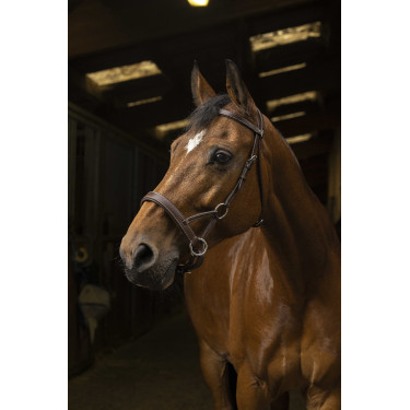 Side-pull Norton Pro Confort Havane Marron Side-pull Norton Pro Confort Havane Marron