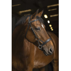 Side-pull Norton Pro Comfort Zwart