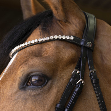 Bridon Norton Pro Bella Zwart Bridon Norton Pro Bella Zwart