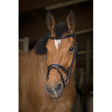 Bridon Norton Pro Rock Zwart