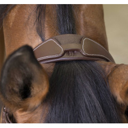 Bridon Norton Pro Rock Havane Marron