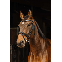 Bridon Norton Pro Galon Zwart