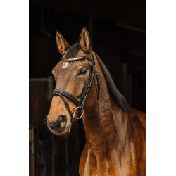 Bridon Norton Pro Galon Zwart